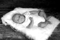 IMGP9512BW